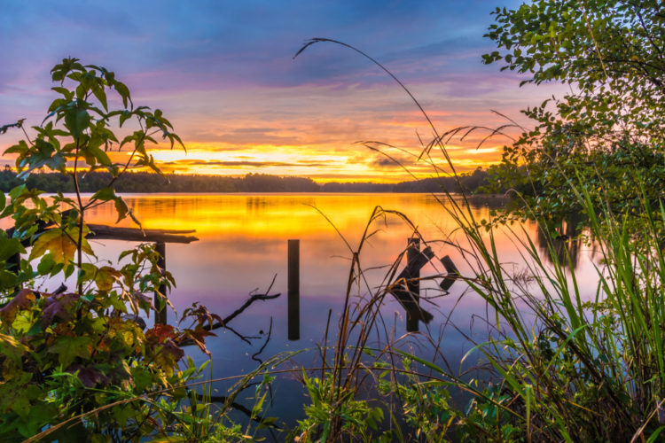 A picturesque sunset casting its warm glow over a serene lake, surrounded by tall grass and trees.